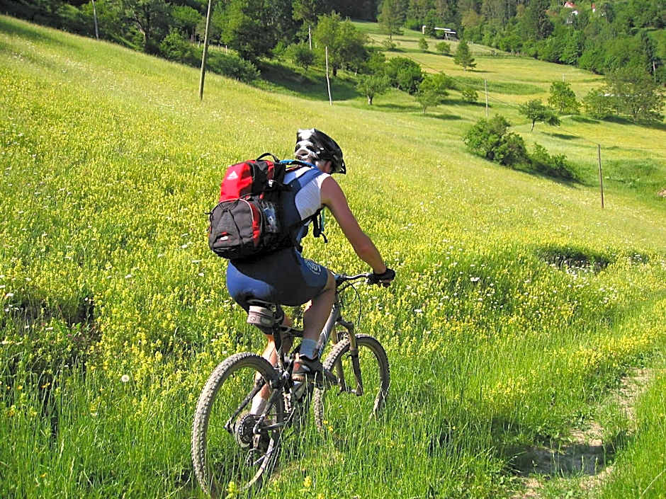 Hotel Center Pokljuka