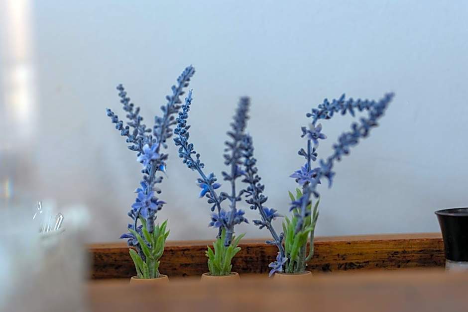 Graça Garden Torres Vedras