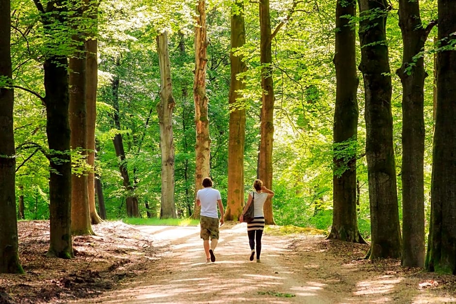 Heerlickheijd van Ermelo