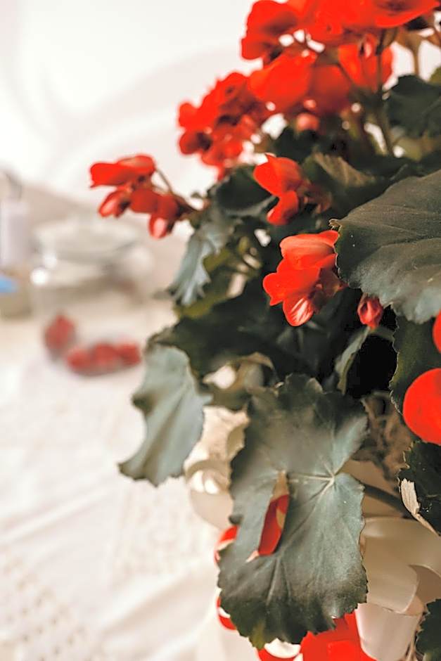 B&B Palazzo Storico Di Nicola