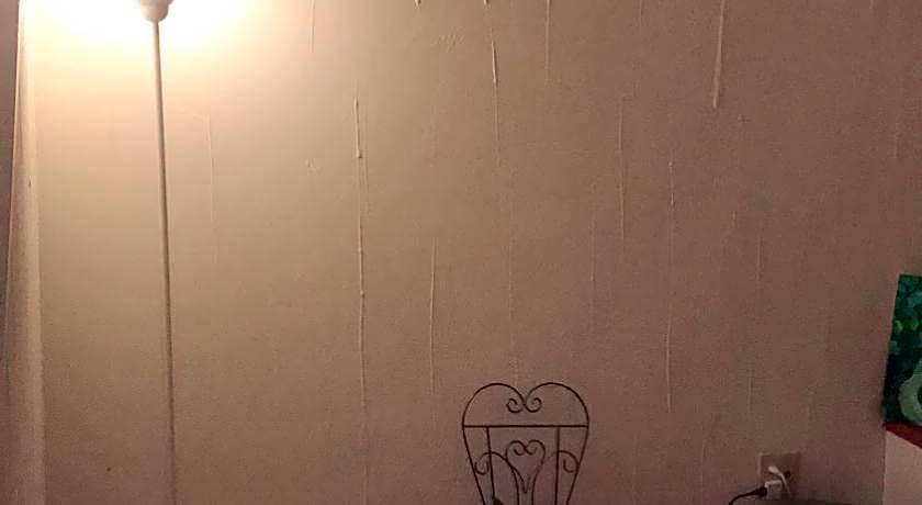 Petit Hotel Kurumi and Milk