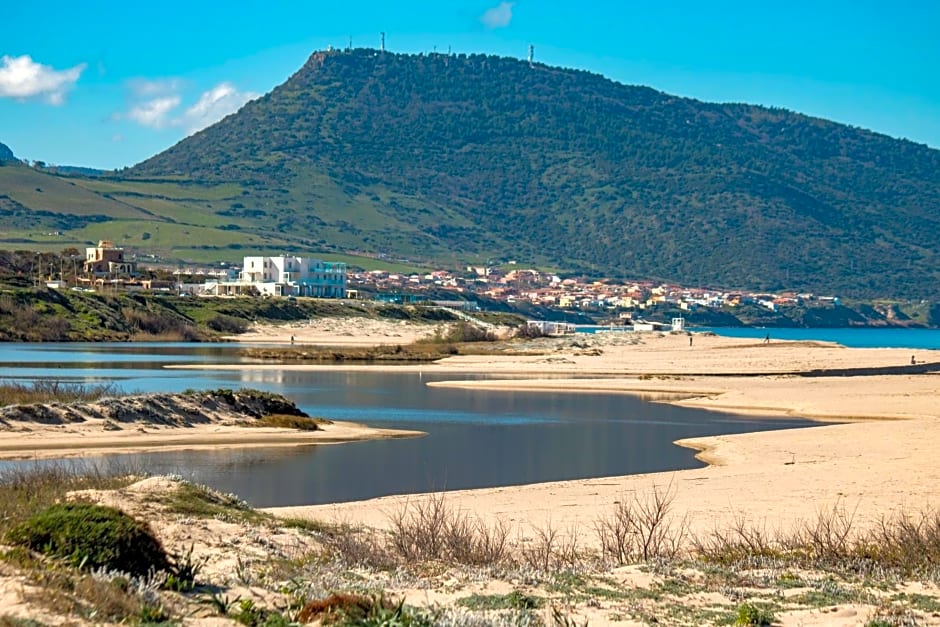Il giardino degli ulivi