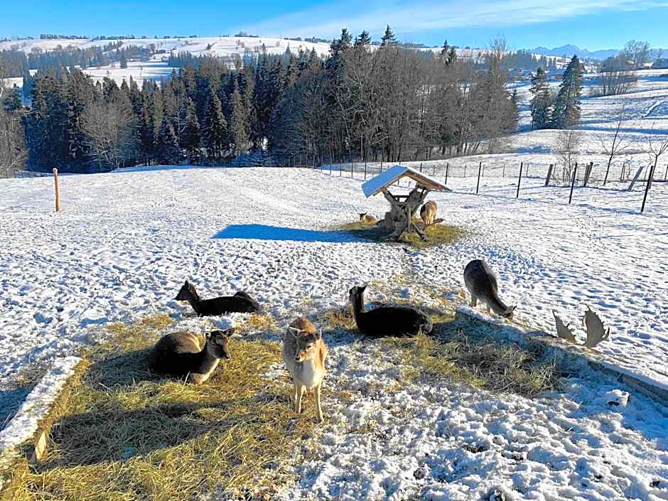 Osrodek Wypoczynkowy Czerwienne Wzgorza