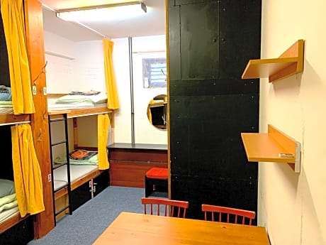 Single Bed in Mixed Dormitory Room
