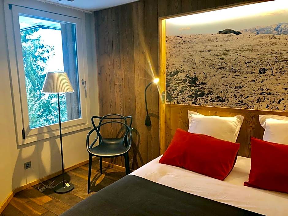 Hôtel LAPIAZ & Spa - FLAINE