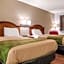 Econo Lodge Holland - Toledo