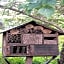 Jungle Lore Birding Lodge