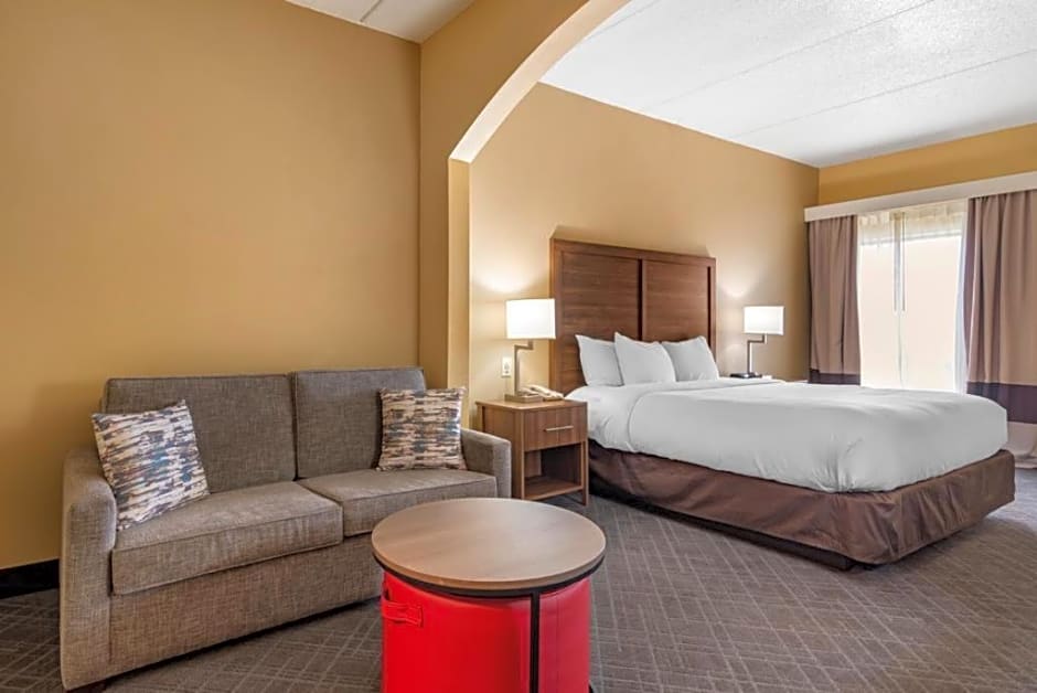 Comfort Inn & Suites At Stone Mountain