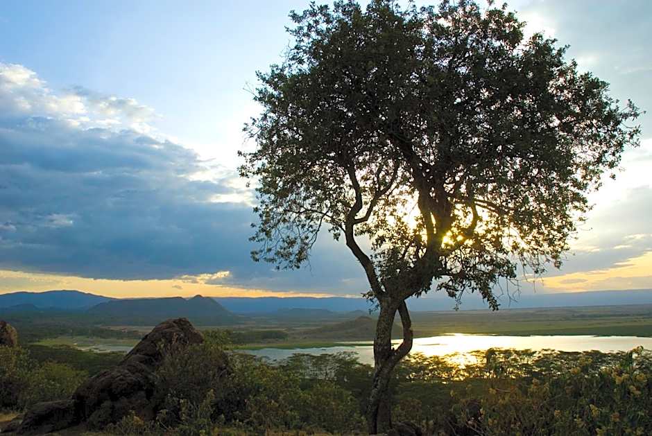Jacaranda Lake Elementaita Lodge