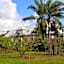 Domaine des Oiseaux Réunion