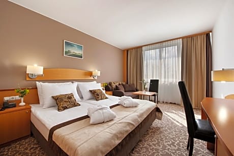 Special Offer - Double Room with Extra Bed and New Year's Package