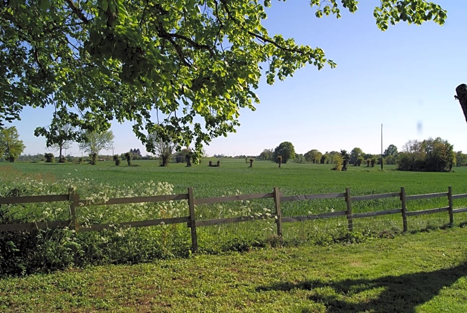 Les Cabanes de Gros Bois