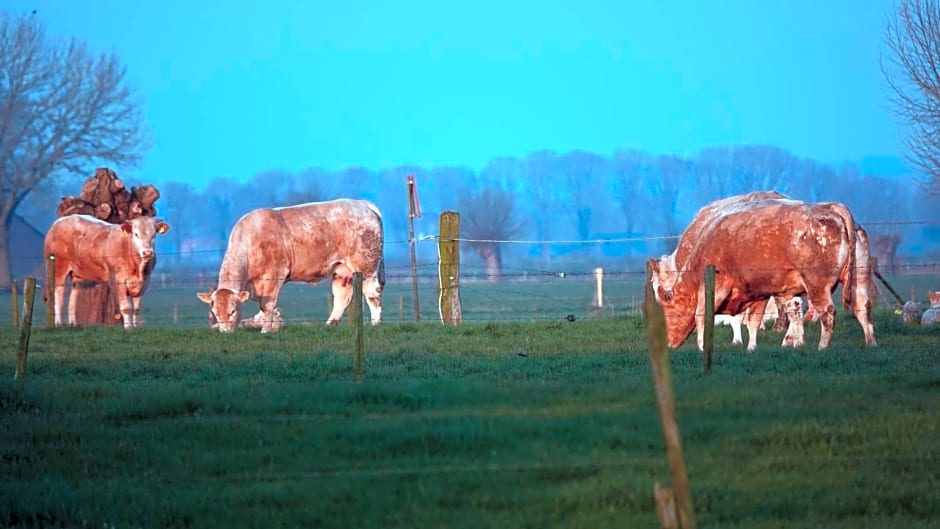 B&B Bij Bronckhorst