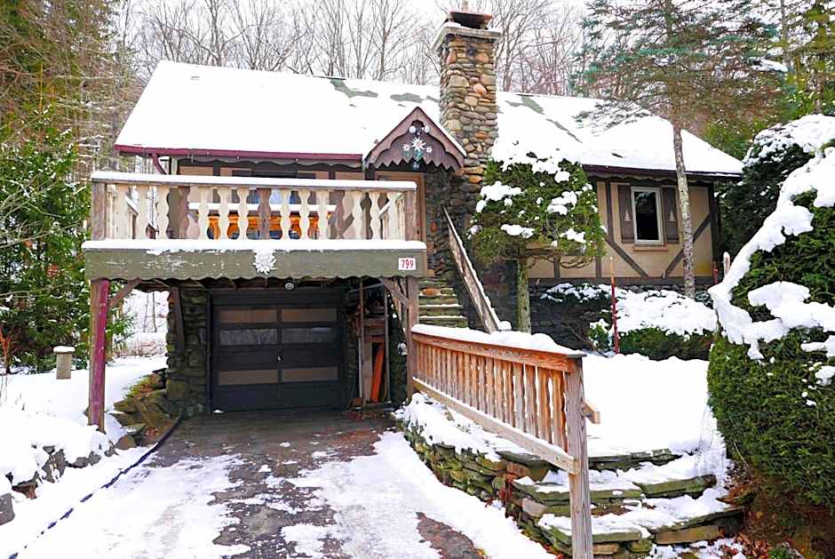 Slide Mountain Forest House