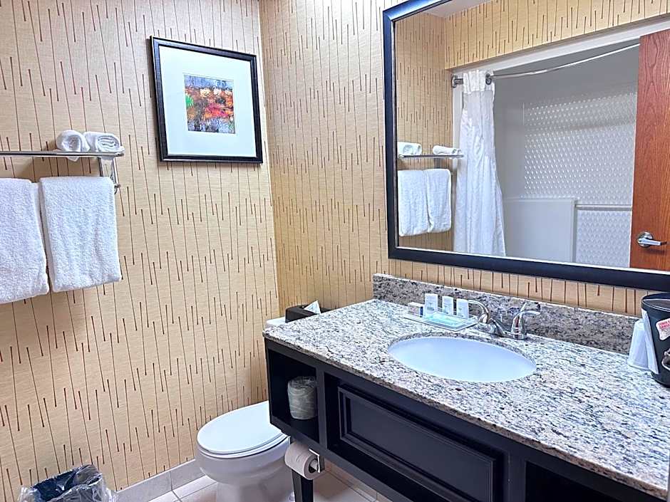 Holiday Inn Express Big Rapids By IHG