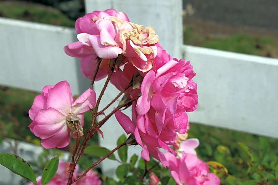 Casa Aconchegante no Capivari