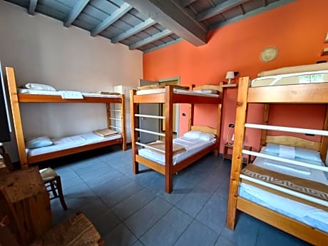 Bed in 6-Bed Mixed Dormitory