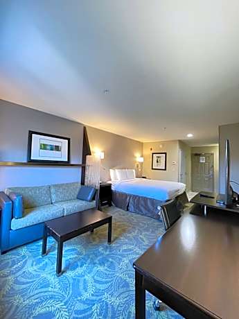 King Studio Suite with Sofa-Bed