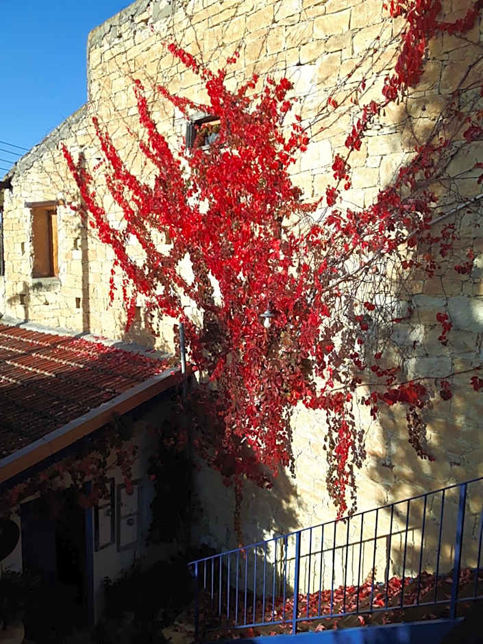 Ble Mavi - Studio for 2