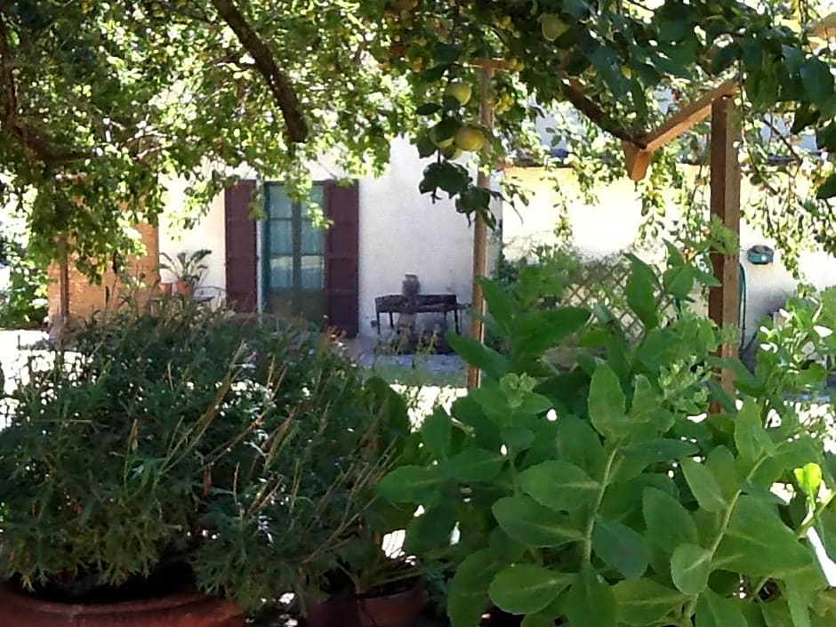 Campo alle Monache