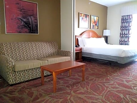 1 King Bed 1 Bedroom Suite
