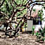 Valentina Holbox by Las Flores Vacation Rentals