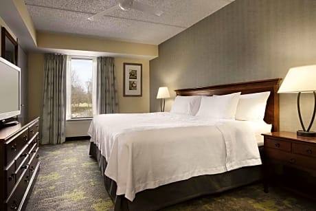 1 King 2 Qn Beds 2 Bdrm 2 Bath Suite Nonsmok