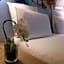 Hotel Mercure Toulouse Centre Saint-Georges