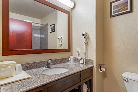 1 King Bed, Suite, Nonsmoking