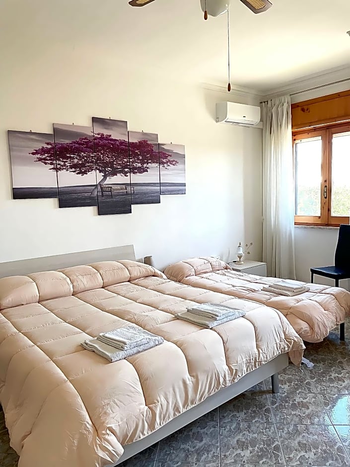 B&B Casa degli Ulivi