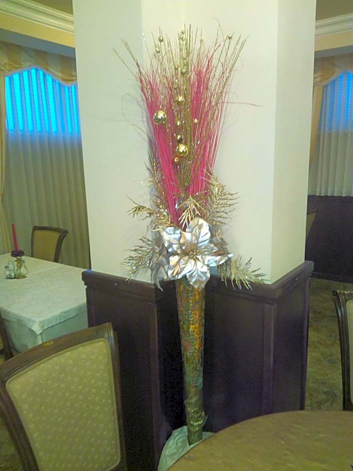 Sport Manca Garni Hotel