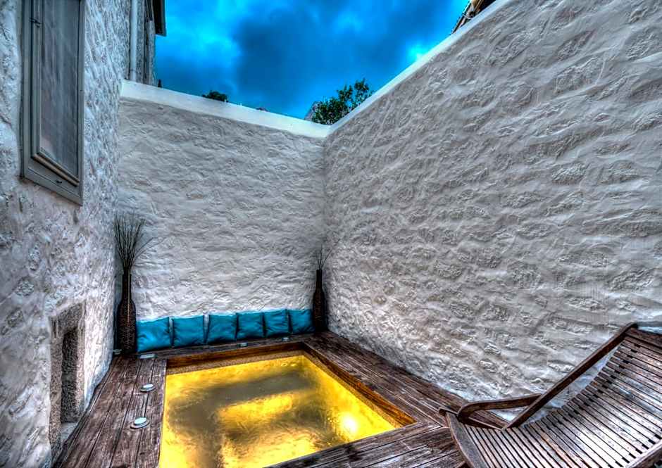 Cotommatae Hydra 1810