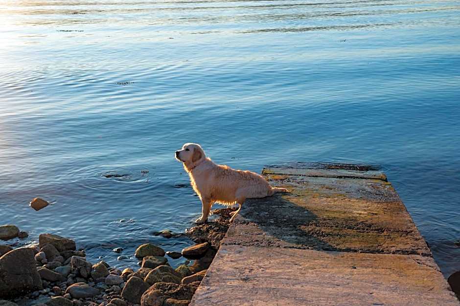 Hollytree Hotel and Swimming pool
