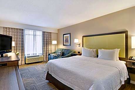 1 King Bed Nonsmoking