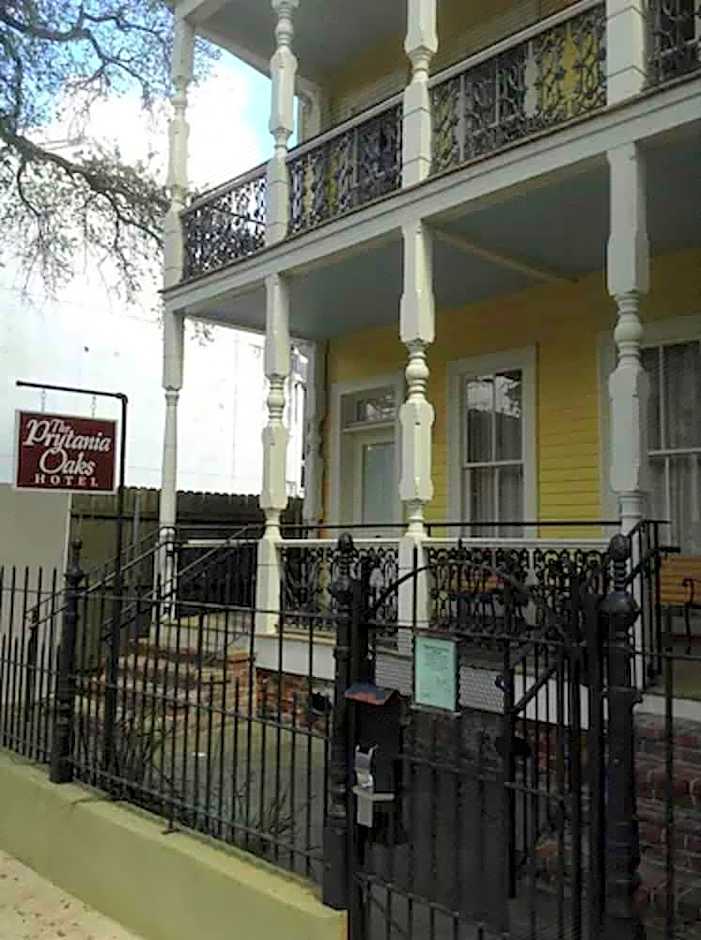 The Prytania Oaks