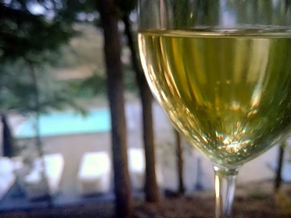 Tuffudesu Experience