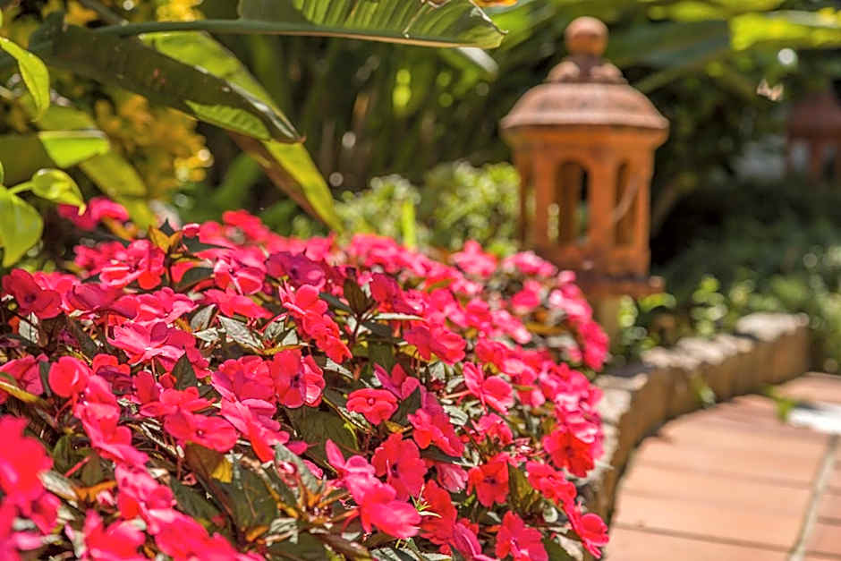 Hotel Spa Bosque mar