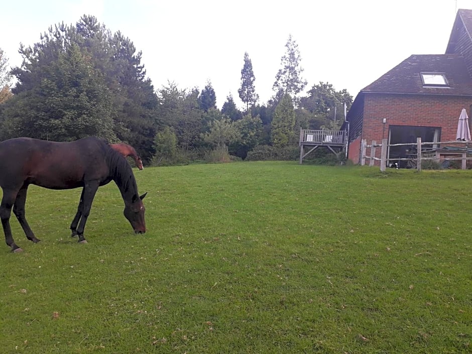 Moaps Farm B&B support small business, welcome, check in from 5 pm