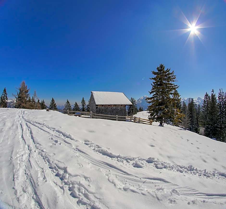 Herz3 Hotel Bar Restaurant Trattoria