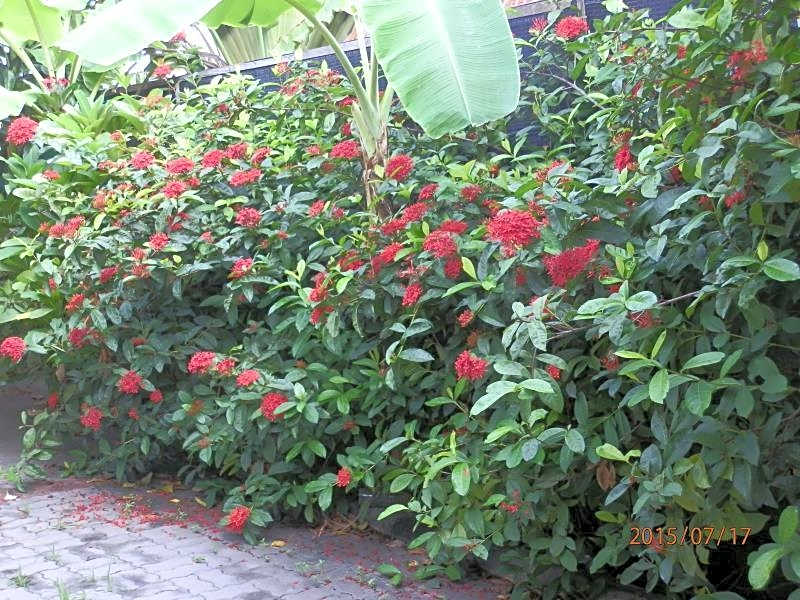 Sandy Serviced Apartment