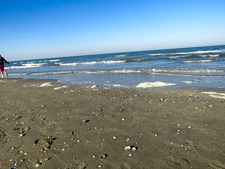 Hotel Baya - in centro, sul mare