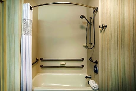 1 King Mobility/Hearing Acc Ri Shower Nosmok