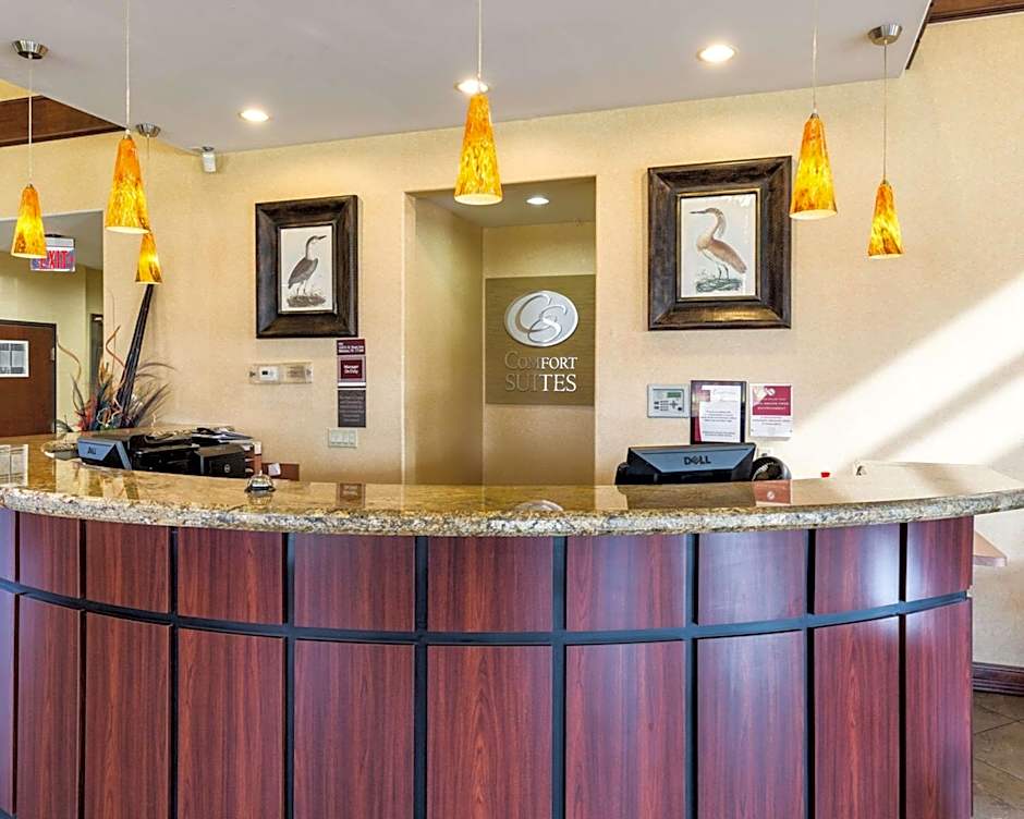 Comfort Suites Near Nasa - Clear Lake