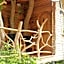 Roots Tree House