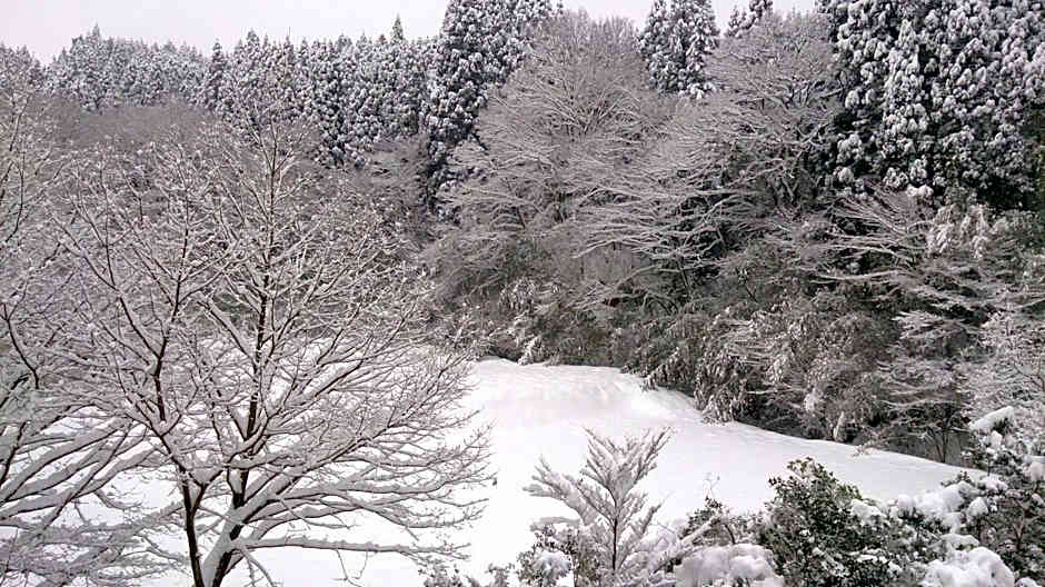 Kurokawa Onsen Ryokan Ichinoi