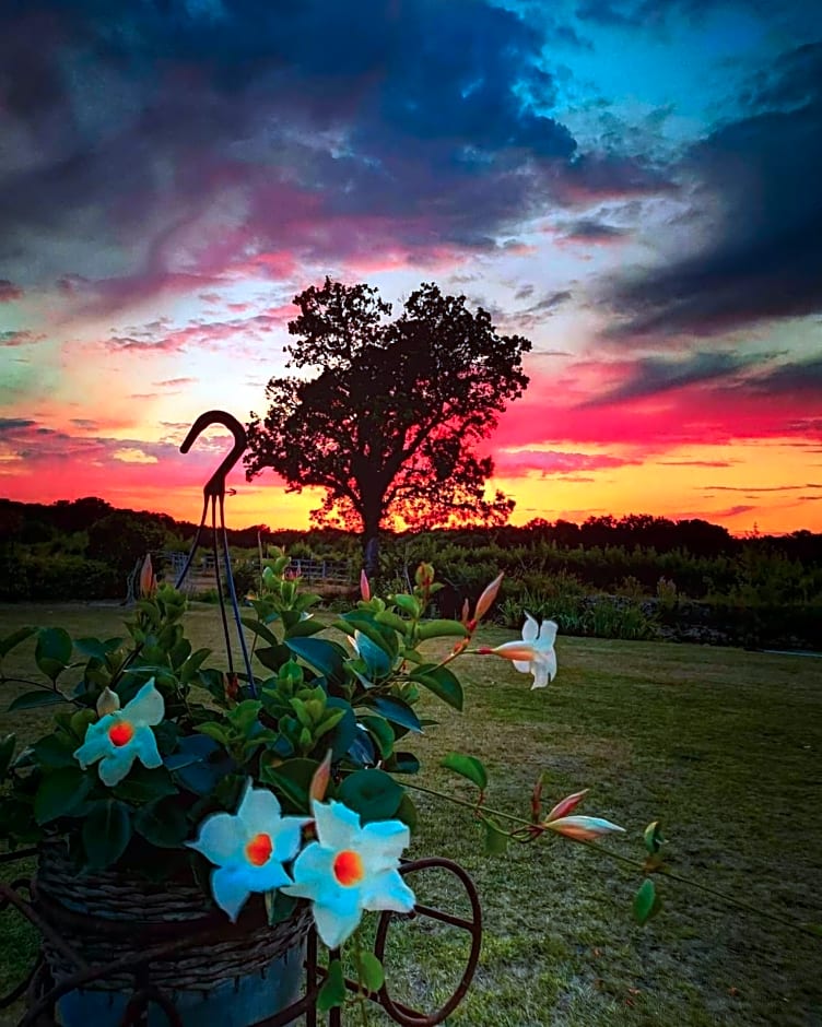 Manoir la Rumillette