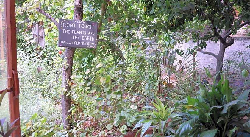 LOTUS GARDEN HOSTEL