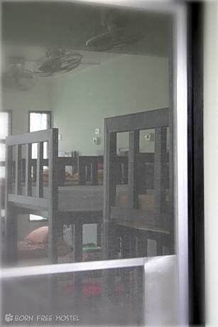 Bed in 10-Bed Mixed Dormitory Room