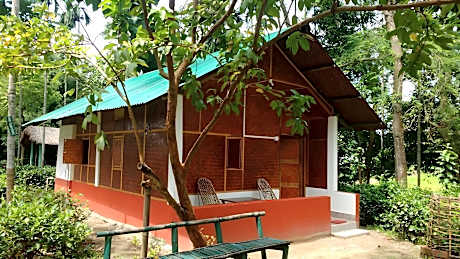 Nature Hunt Eco Camp Kaziranga 