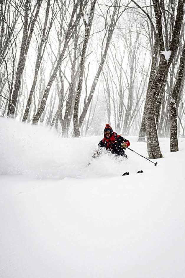 HA-MON Slope Side Hotel and Private Chalet